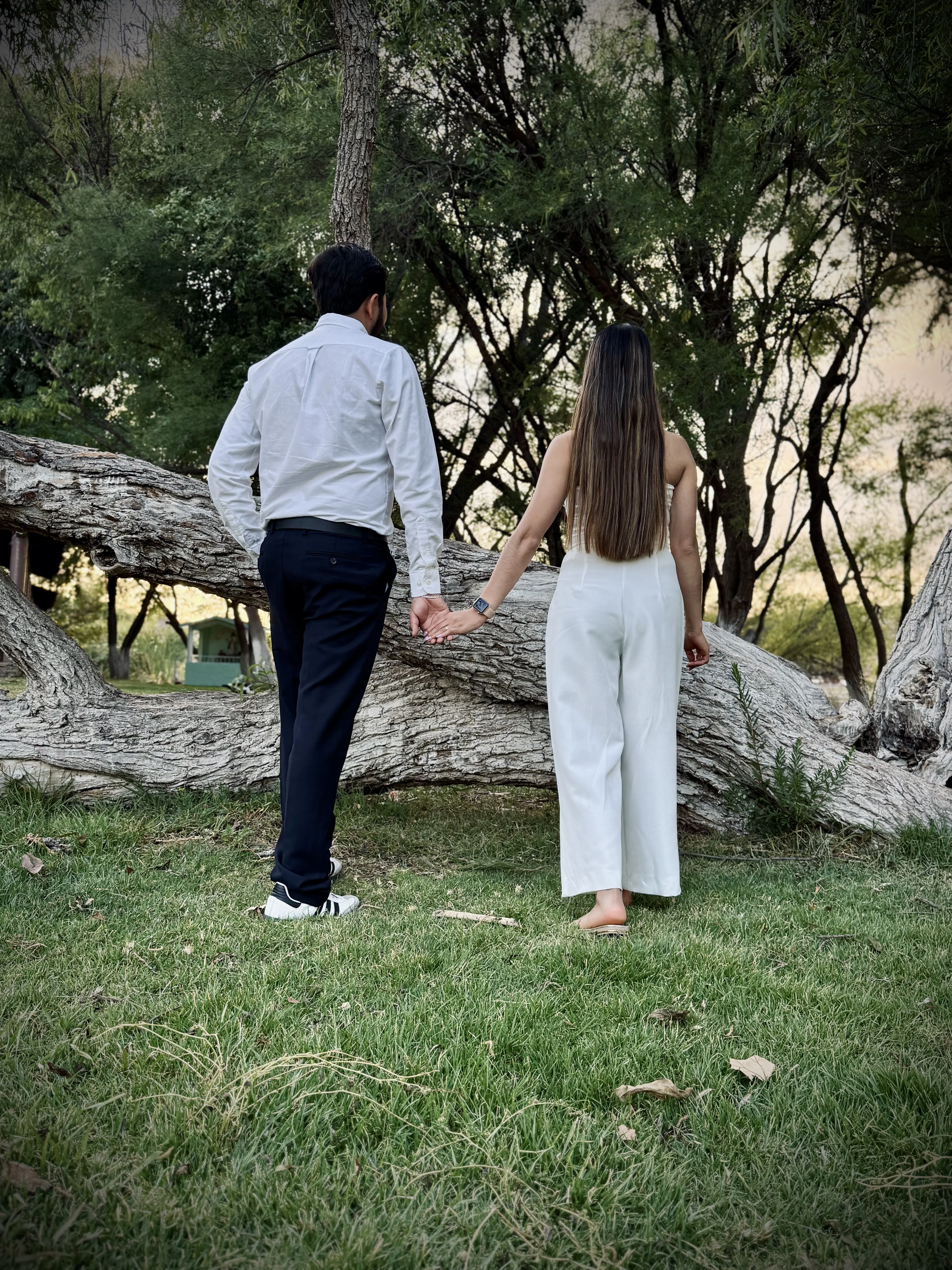 Fotografía 14